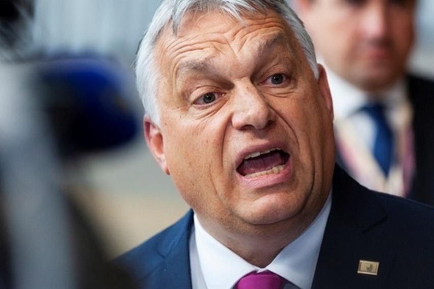 Орбан является «троянским конем», который шантажирует Европу — чешский министр