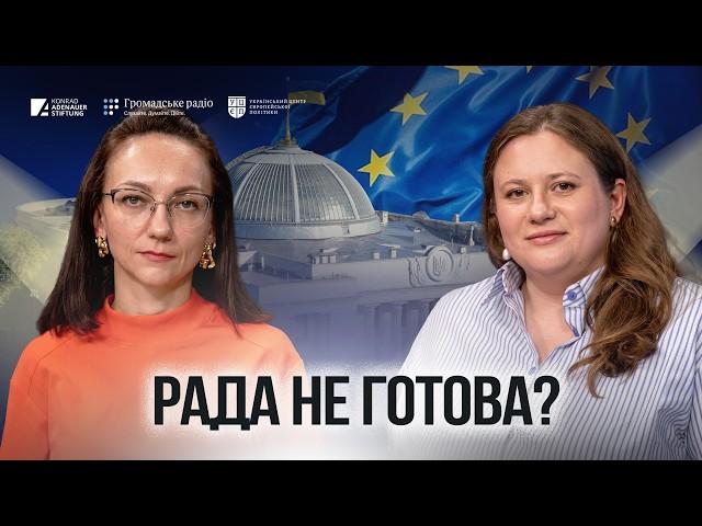 Ми не можемо бути сліпими кошенятами — чи готова Рада до ЄС?