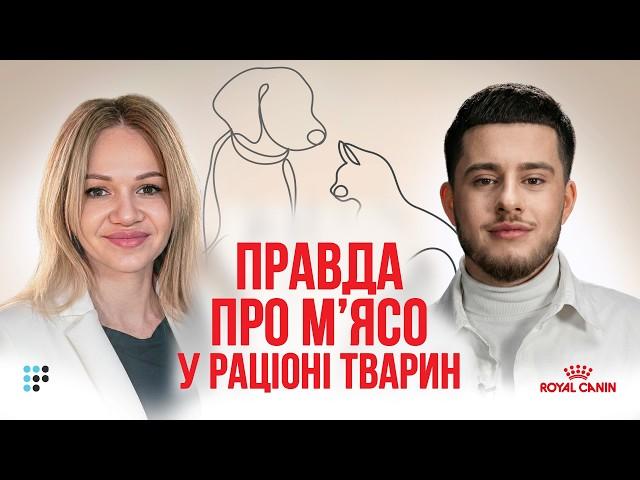 Чи потрібно змінювати раціон кота і собаки під час стресу?