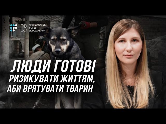 Чи працює захист тварин в Україні | Ольга Мацько, UAnimals