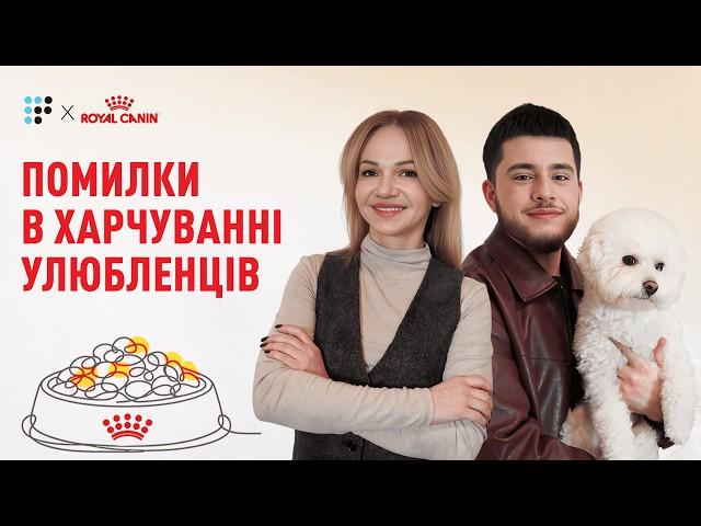 Як обрати корм для кота і собаки: поради від ветеринарки