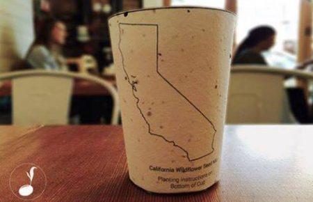 В Каліфорнії придумали стаканчики для кави, з яких проростатимуть рослини