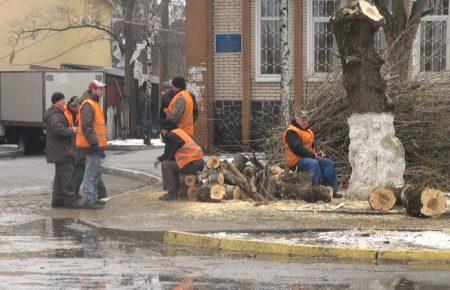 Громада Ірпеня протестує проти вирубок дерев у центрі