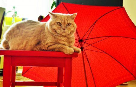 Вересень фінішує в Україні холодною погодою