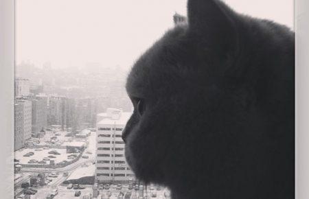 17 листопада на Донбасі очікується мокрий сніг