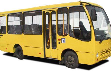 У Миколаївській області виборців масово підвозять до дільниць