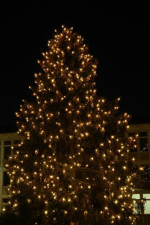 За 9 годин Новий Рік. Вікторія Наріжна й Ірина Славінська готуються зустріти його на Майдані