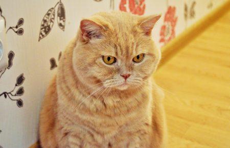 18 березня в Україні пройдуть дощі