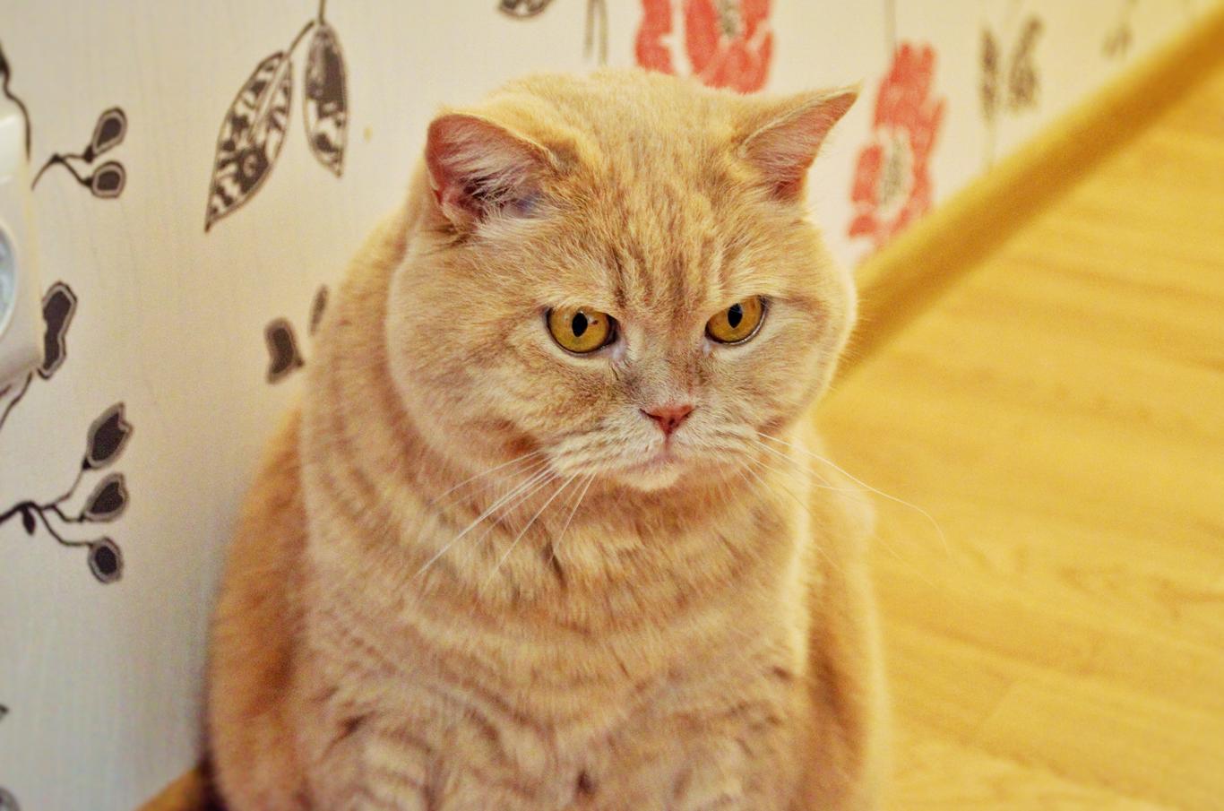 18 березня в Україні пройдуть дощі