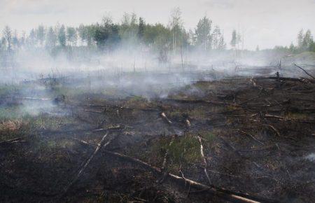 Смог над столицею розсіявся, але киянам радять виїжджати з міста через пожежи в області