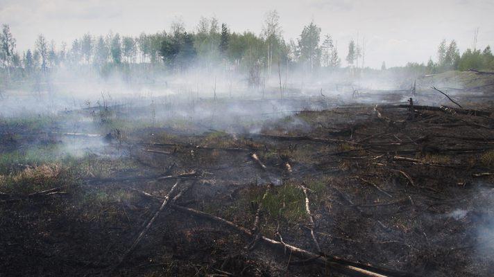 Смог над столицею розсіявся, але киянам радять виїжджати з міста через пожежи в області