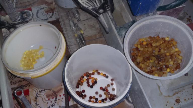 У Чернівцях подружжя створило підпільний цех з обробки бурштину