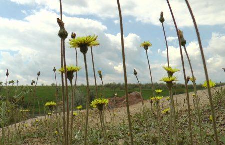 На Донеччині скасували плату за екскурсії до ландшафтного парку