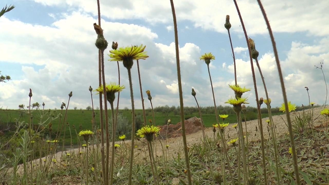 На Донеччині скасували плату за екскурсії до ландшафтного парку