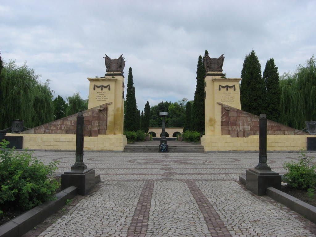 У Львові намагались знести пам’ятник письменнику Тудору: є постраждалі