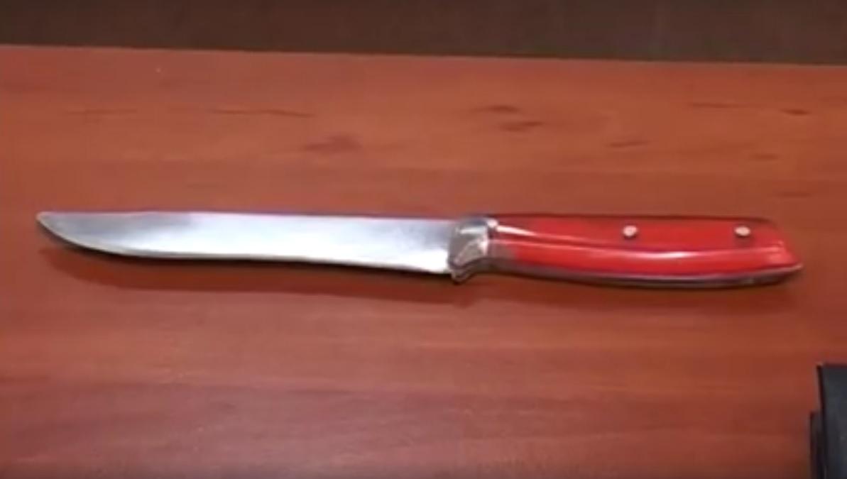 Підозрюваний у нападі на дружину Турчинова на відео МВС: «Я отримаю по суду»