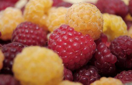 ЄС почав купувати на 90% більше української малини