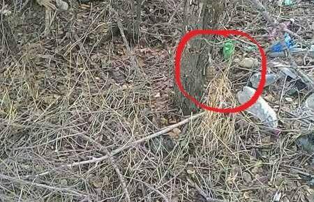 Перед блокпостом в Курахово знайдені замасковані розтяжки