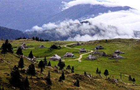 Щоб купити їжу, жителі села на Луганщині йдуть через заміновані поля (ВІДЕО)