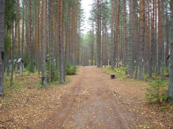 За 5 ночей в урочищі Сандармох було розстріляно 1111 людей