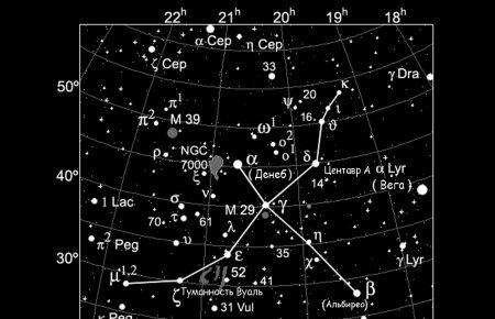 Біля зірки в сузір'ї Лебедя почали шукати прибульців