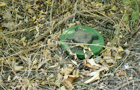 На Луганщині на вибуховому пристрої підірвався місцевий житель