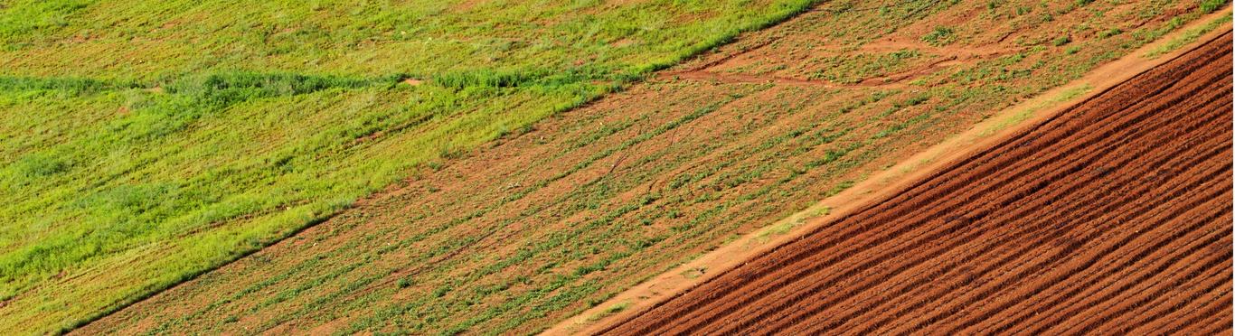 «Якщо продаж землі буде, то наші села швидко знелюдніють»: Любомир Шавалюк
