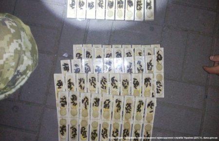 Почему украинские пограничники не пропустили пчел в Россию?