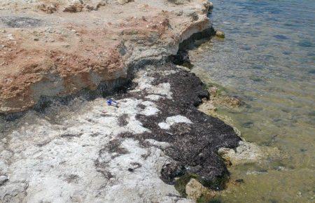 З найпопулярнішого «дитячого» пляжу в Севастополі вивезли весь пісок