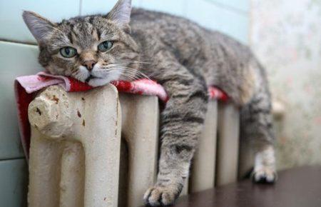 Екоексперти вивчають, чому у Рівному нема стратегії з енергоефективності