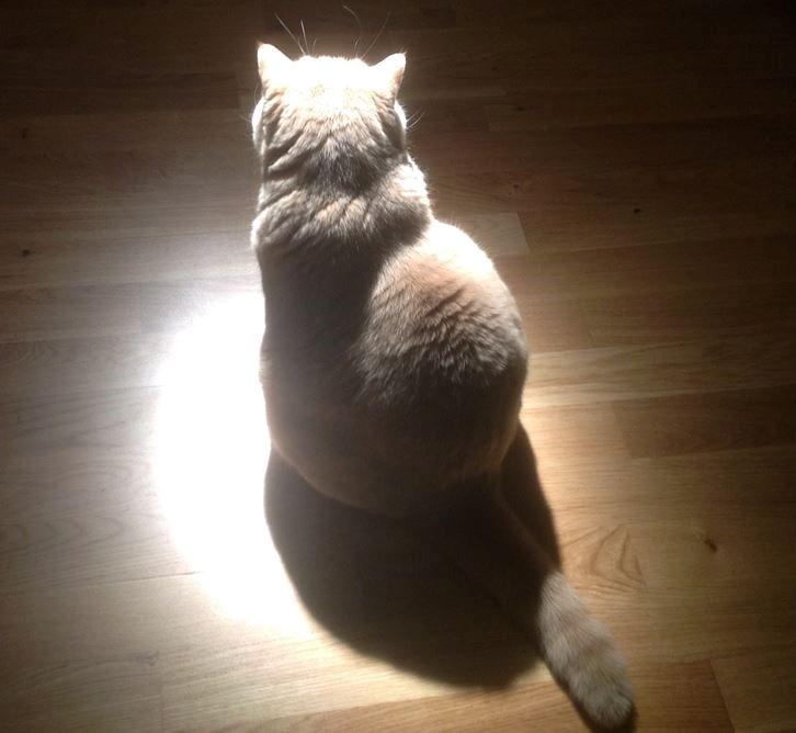 8 вересня в Україні очікується холодна туманна погода