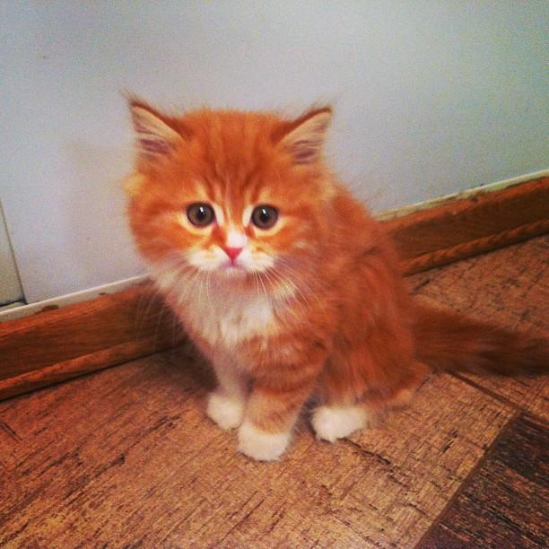 12-13 березня в Україні очікується дощ та мокрий сніг