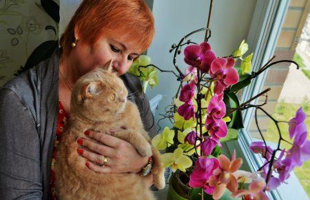 31 липня на заході України +12, на півдні +35 градусів