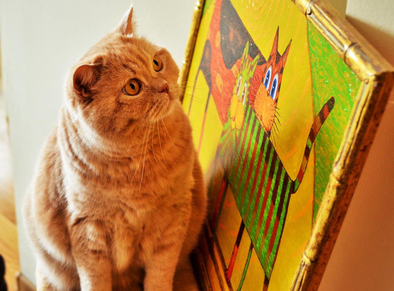 На Маковія в Україні почнеться послаблення спеки