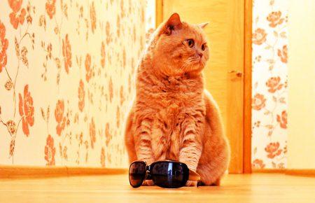 Вихідними на захід України прийде 30-градусна спека