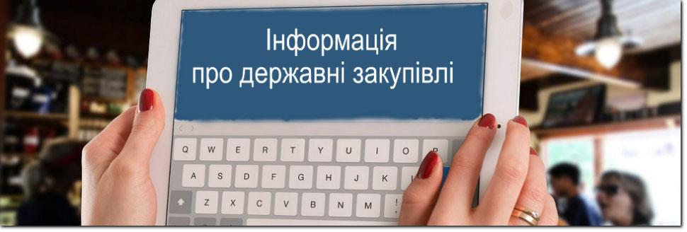 Публічність видатків бюджету не буде ефективна без міжнародних аудиторів
