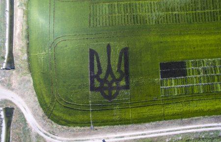Фермери Херсонщини висіяли великий тризуб і встановили рекорд