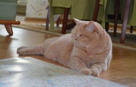 22 липня в Україну повертається спека