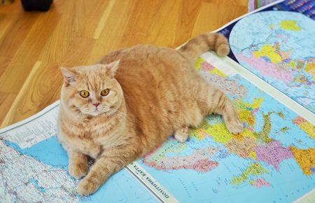 10 липня в Україні очікується суттєве послаблення спеки