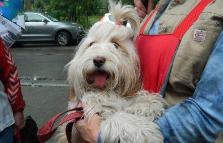 Співробітника ботсаду, який отруїв 7 тварин у Києві, досі не покарали