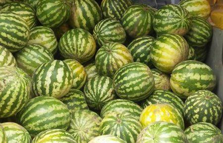 Волонтери повезли військовим кавуни та потрапили під обстріл, - журналістка