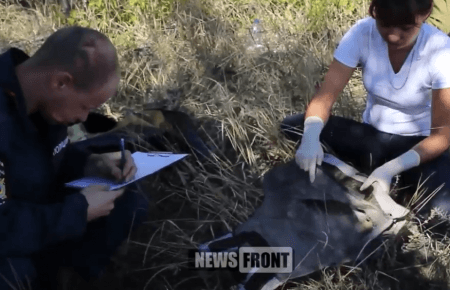 В «ЛНР» опублікували кадри нібито з останками бійця ЗСУ — відео