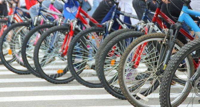 Донецк входил в топ-5 городов с развитой велоинфраструктурой, — активисты