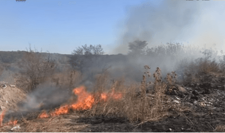 У Дніпрі відходи м'ясокомбінату спалюють в 200 м від житлових будинків — відео