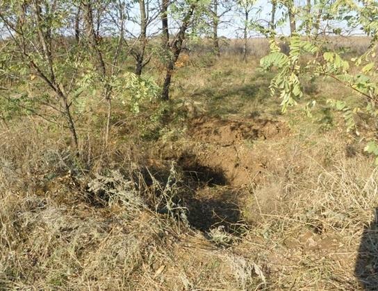 З'явились фото з місця масового поховання людей в "ЛНР"