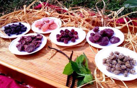 Переселенцы возродили знаменитую традицию Киева — производство сухого варенья