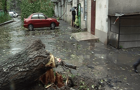 В Одесі негода валить крани та трощить автівки — фото