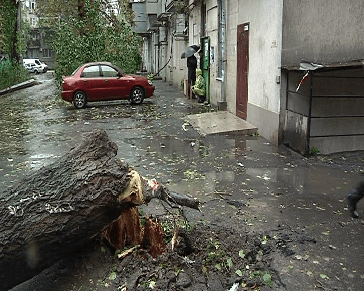 В Одесі негода валить крани та трощить автівки — фото