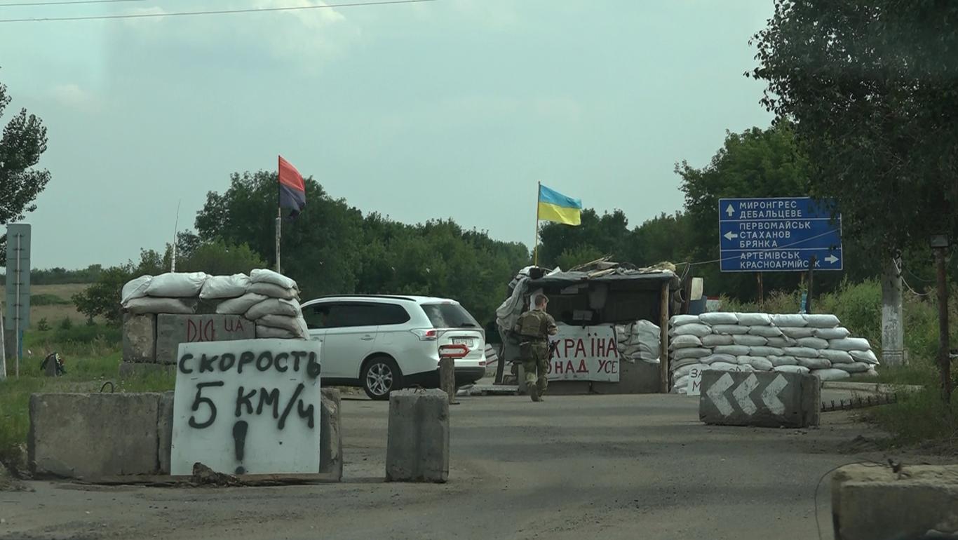 В «серой зоне» увеличились объемы незаконной вырубки деревьев — активист