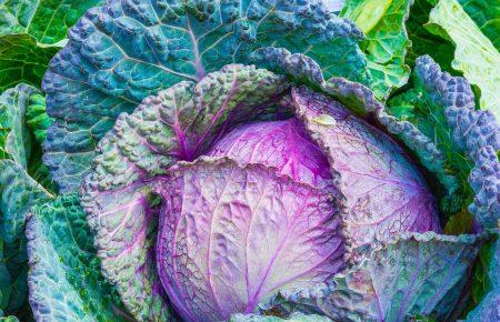 Смачна країна. Капуста по-східному із зеленими овочами